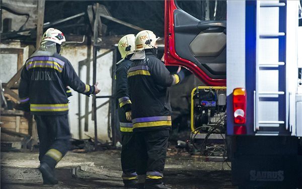 Kigyulladt egy állatmenhely Kiskunlacházán, hatvan kutya elpusztult