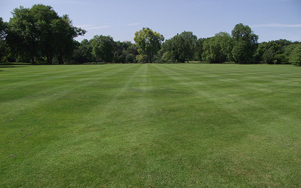 Temetik a brit gyepet